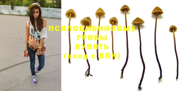 твердый Краснотурьинск