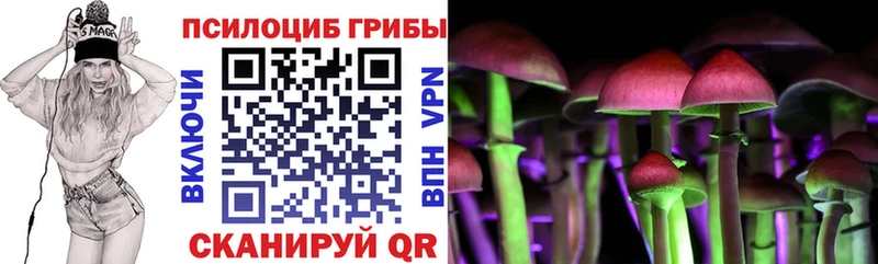 Галлюциногенные грибы Magic Shrooms  как найти закладки  Норильск 